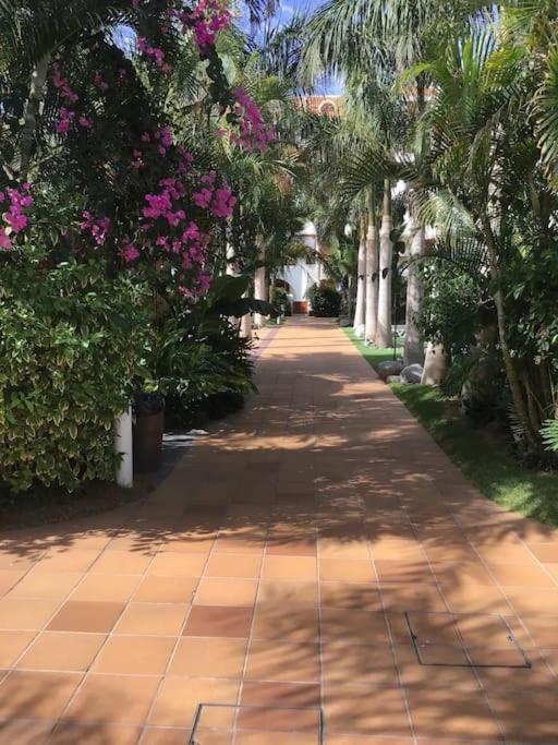 Apartamento Exterior Con Vistas Playa de las Americas  Zewnętrze zdjęcie